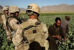 په افغانستان کښې د نشه ايزو توکو د توليد په پراختيا کښې د امريکې کردار