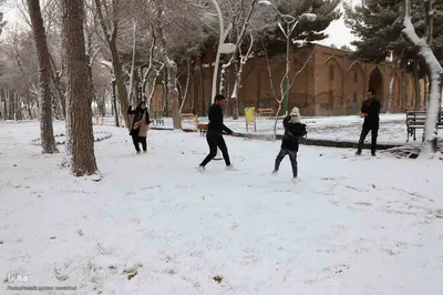 بارش برف در اهر