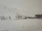 طبیعت برفی مناطق شهری و روستایی اهر