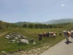 طبیعت بکر و زیبای منطقه گردشگری فندقلوی اهر