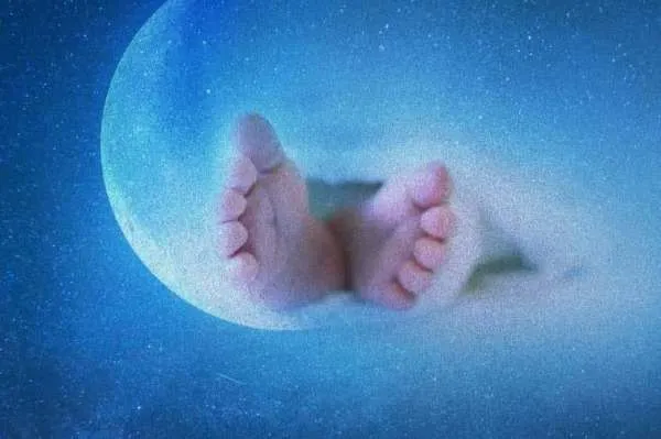 مجموعه «پا به ماه» فردا روی آنتن می‌رود + فیلم