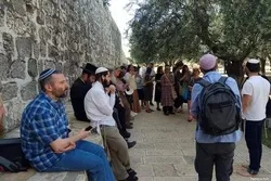 « Israël se rapproche de l'abîme et de l'effondrement »