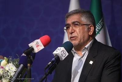  سیدحمیدرضا طیبی، رئیس سابق جهاددانشگاهی