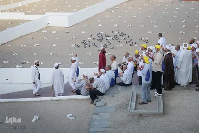 قبرستان ابوطالب