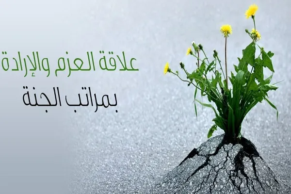 مَنْ سَاءَ عَزْمُهُ رَجَعَ عَلَيْهِ سَهْمُهُ