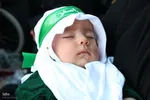 مراسم شیرخوارگان حسینی در مبارکه