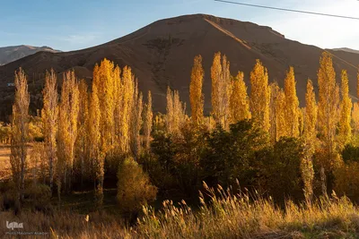 پاییز زیبای طالقان