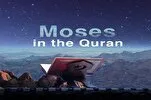 Quranda Həzrət Musa (ə) qisəsində xəbərdarlıq və müjdələr
