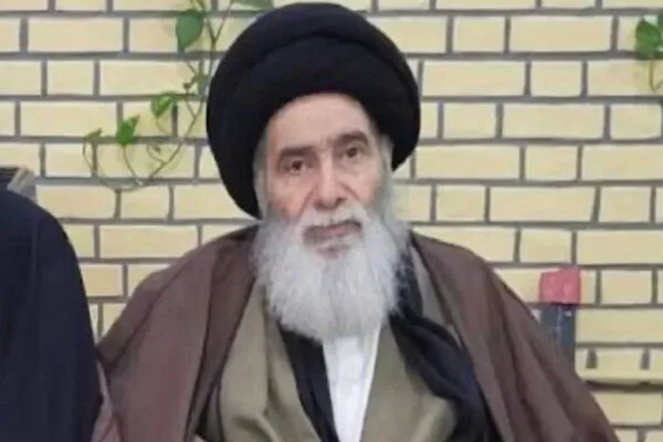 آیت‌الله سیدهادی سیستانی دارفانی را وداع گفت