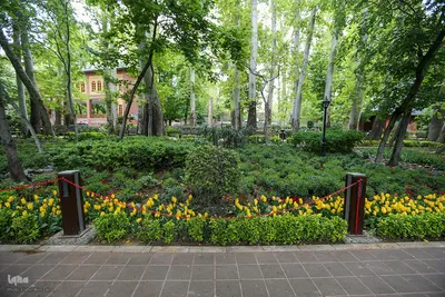 خودنمایی لاله های رنگی در دل معماری سنتی
