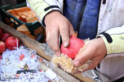حال و هوای بازار تبریز در آخرین ساعات شروع شب یلدا
