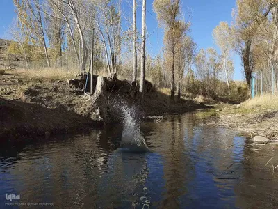 رنگ آمیزی طبیعت در مناطق روستایی شهرستان اهری
