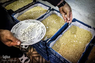 پس از چیدن سبد گندم ها در کنار یکدیگر، بر روی آنها نقل بیدمشک می ریزند.