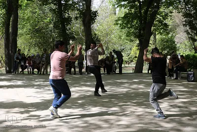 مسافران نوروزی در باغ ارم شیراز