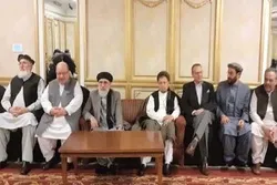 افغان سیاستوالان دسولې بهیر دپاکستان په مري بهوربن کې سپړی