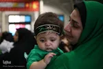 علی‌اصغر‌های اصفهان در آغوش مادران سوگوار