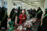سیب بهشتی‎‎