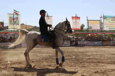 چهارمین جشنواره ملی شوسواره ارسباران جام شهدای اقتدار در اهر