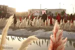 تاسوعای حسینی - شهر جدید گلبهار
