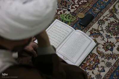 قرائت زیارت جامعه کبیره در حرم حضرت معصومه(س)