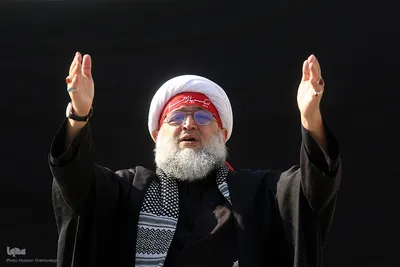 دسته های عزاداری در سوگ شهادت امام هادی(ع)