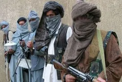 کالعدم ٹی ٹی پی مالاکنڈ ڈویژن کا سربراہ مفتی بورجان افغانستان میں ہلاک