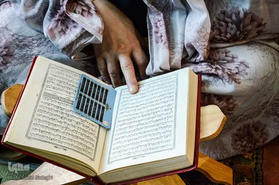 آیین ترتیل خوانی قرآن کریم در امامزاده سید حمزه(ع) تبریز