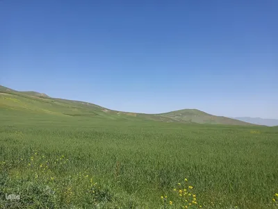 طبیعت بهاری ارتفاعات سامبران در جاده اهر