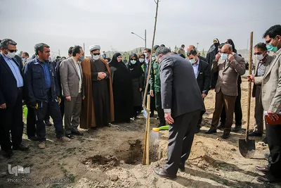 پویش سراسری درختکاری - مشهد
