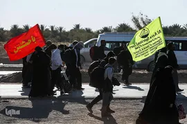 راهپیمایی اربعین مسیر نجف، کربلا / ۲