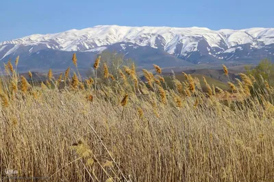 طبیعت بهاری شهرستان اهر