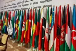 OIC Extraordinary Meeting on Coronavirus Slated for Wednesday