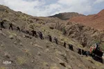 آیین سنتی «نخل‌گردانی» در روستای ابیانه نطنز