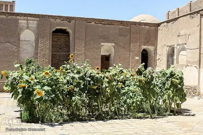 روضه 200 ساله در حسینیه محبان الزهرای بیرجند
