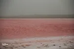 دریاچه نمک حوض سلطان به رنگ سرخ
