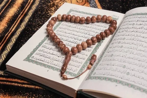إفتتاح دورة حول 