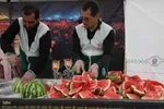 مراسم پیاده‌روی جاماندگان اربعین در اهر