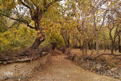 طبیعت پائیزی روستای گردشگری «دشتک» استان فارس‎‎