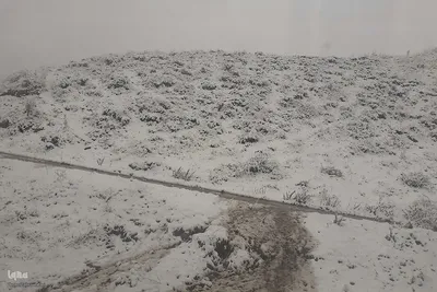 بارش برف بهاری در ارتفاعات روستایی اهر