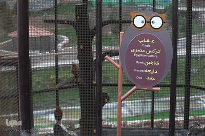 افتتاح باغ پرندگان قم در دره آباد ۱۲هکتاری