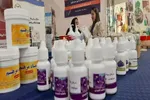 نمایشگاه