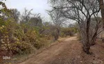 طبیعت پاییزی یزد در قاب تصویر