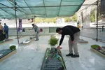 غبارروبی قبور شهدای جنگ تحمیلی 12 روزه