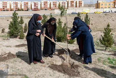 پویش هر شهروند یک درخت در البرز