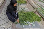 ادای احترام خبرنگاران شیراز به مقام شامخ شهدا