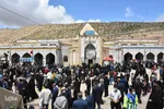 آیین سنتی «شیردوشان» – دیباج دامغان