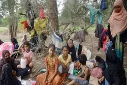 সাগর পাড়ি দিয়ে ইন্দোনেশিয়ায় ১১১ রোহিঙ্গা শরণার্থী