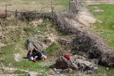 روز طبیعت در مشهد
