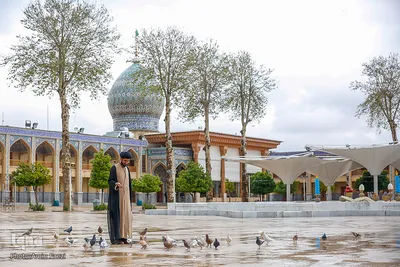 به مناسبت سالروز بزرگداشت شاهچراغ(ع)