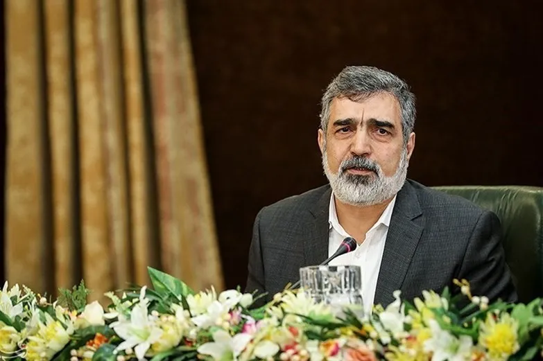 کمالوندی: عوامل ترور شهید فخری‌زاده و حادثه نطنز یکی است